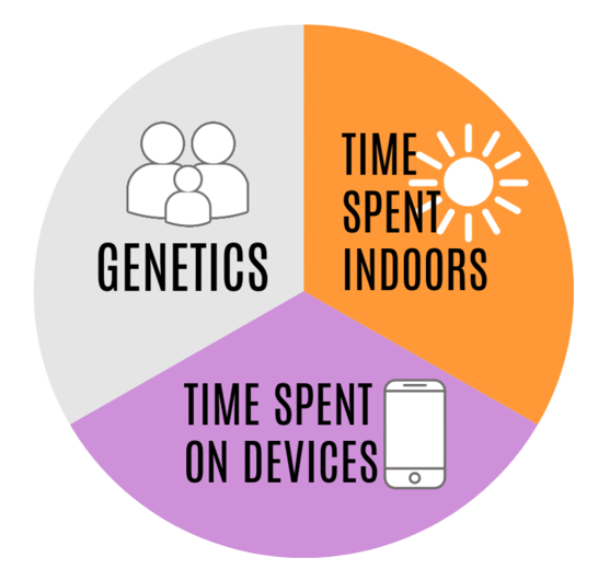 infographic